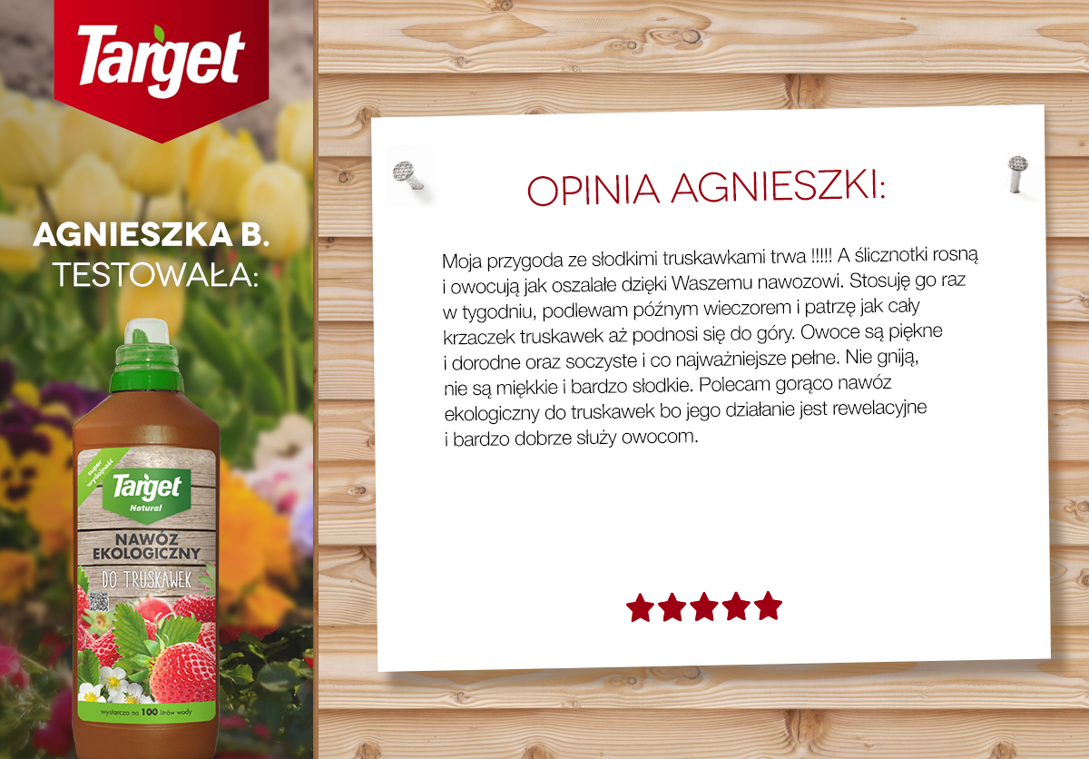 P³ynny Nawóz Do Truskawek Ekologiczny 1 l Target - obrazek 2