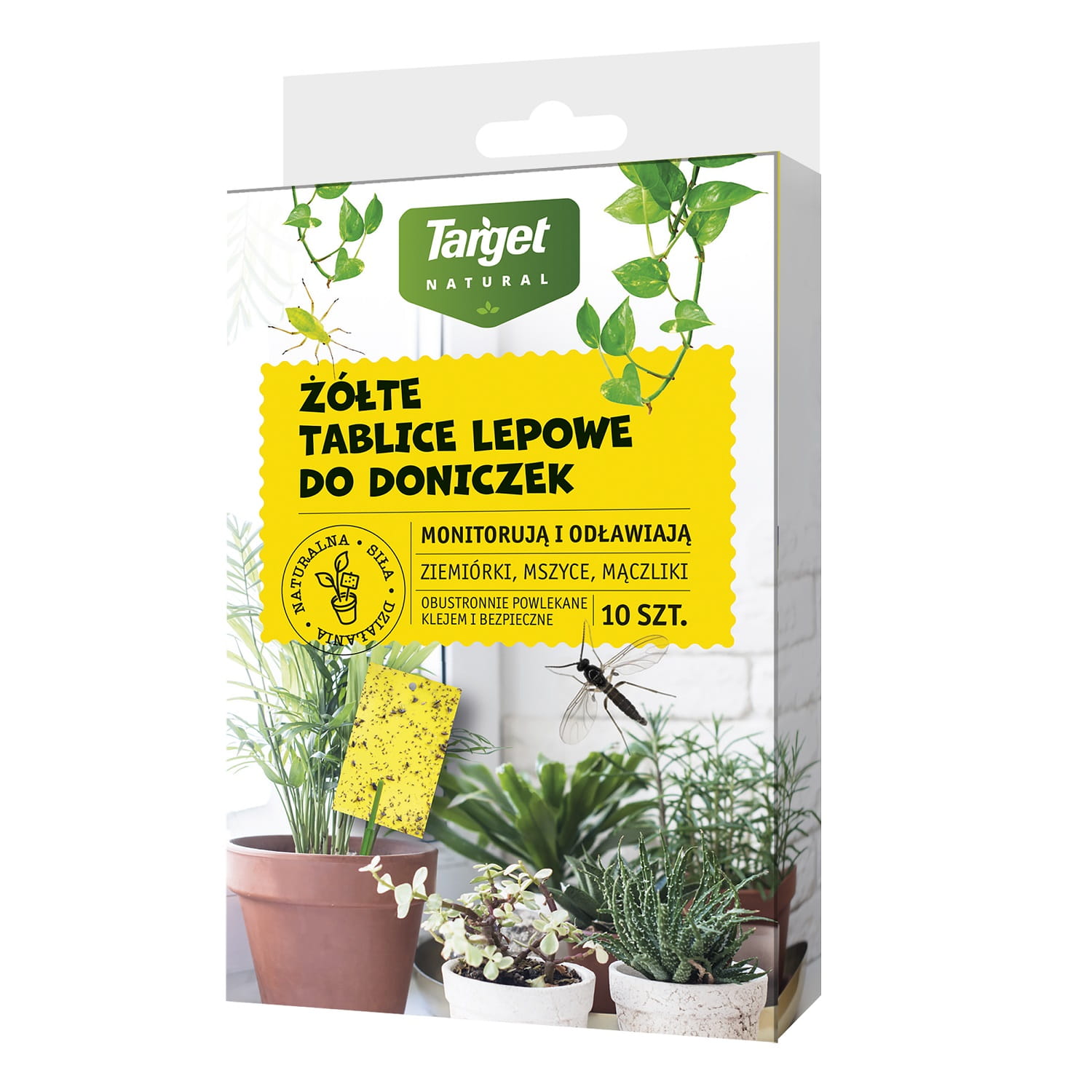 ¯ó³te Tablice Lepowe Na Szkodniki Rolin Domowych 10 szt. Target