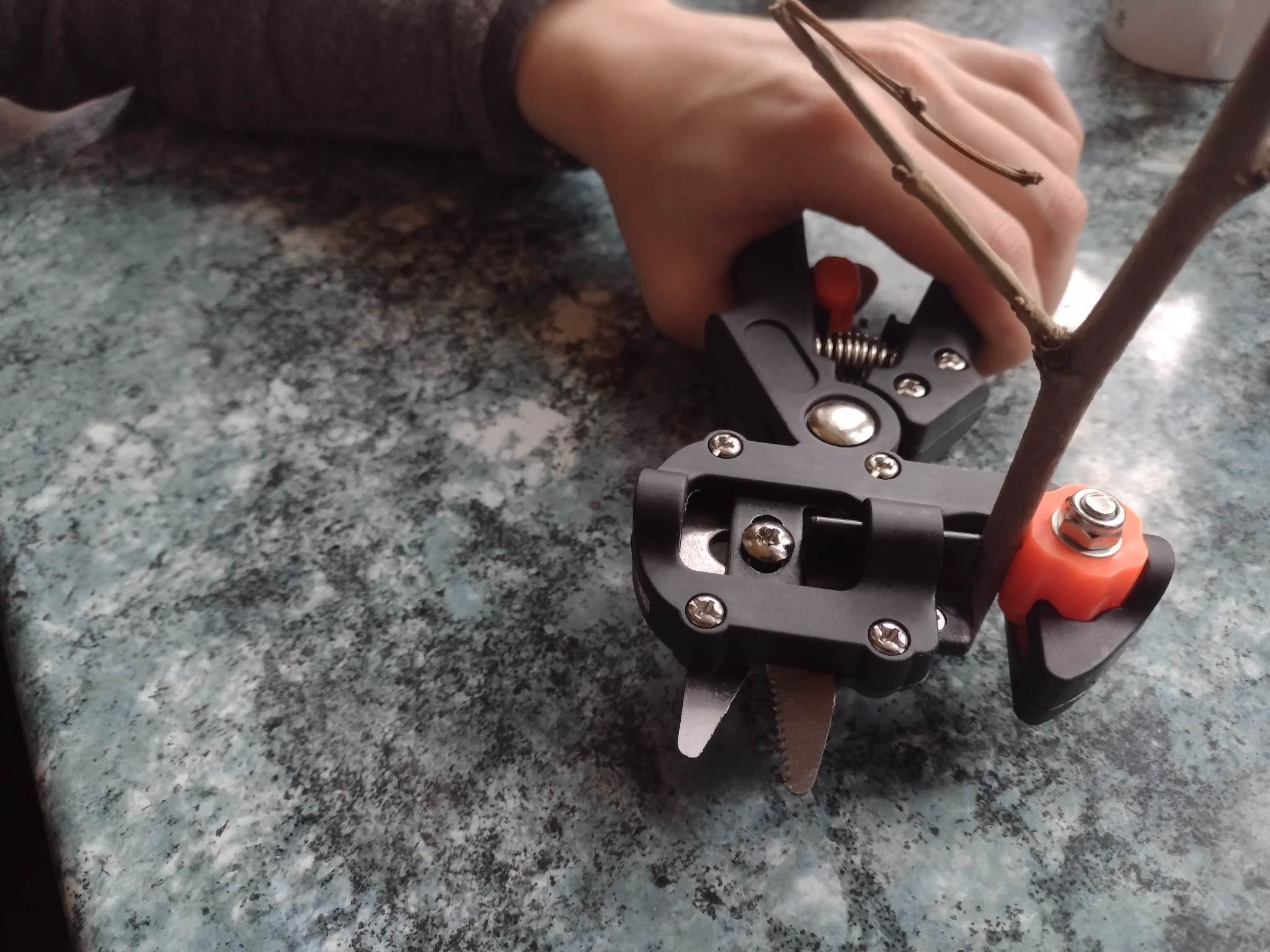 Sekator Do Szczepieñ Drzew i Krzewów z Tam¹ - obrazek 2