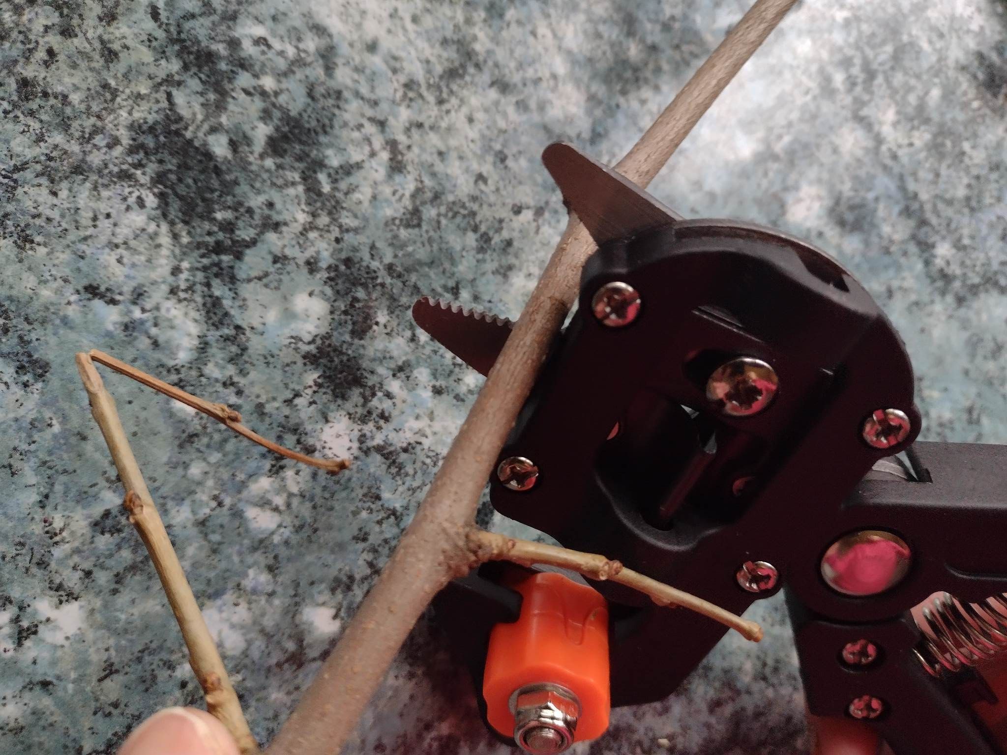 Sekator Do Szczepieñ Drzew i Krzewów z Tam¹ - obrazek 7