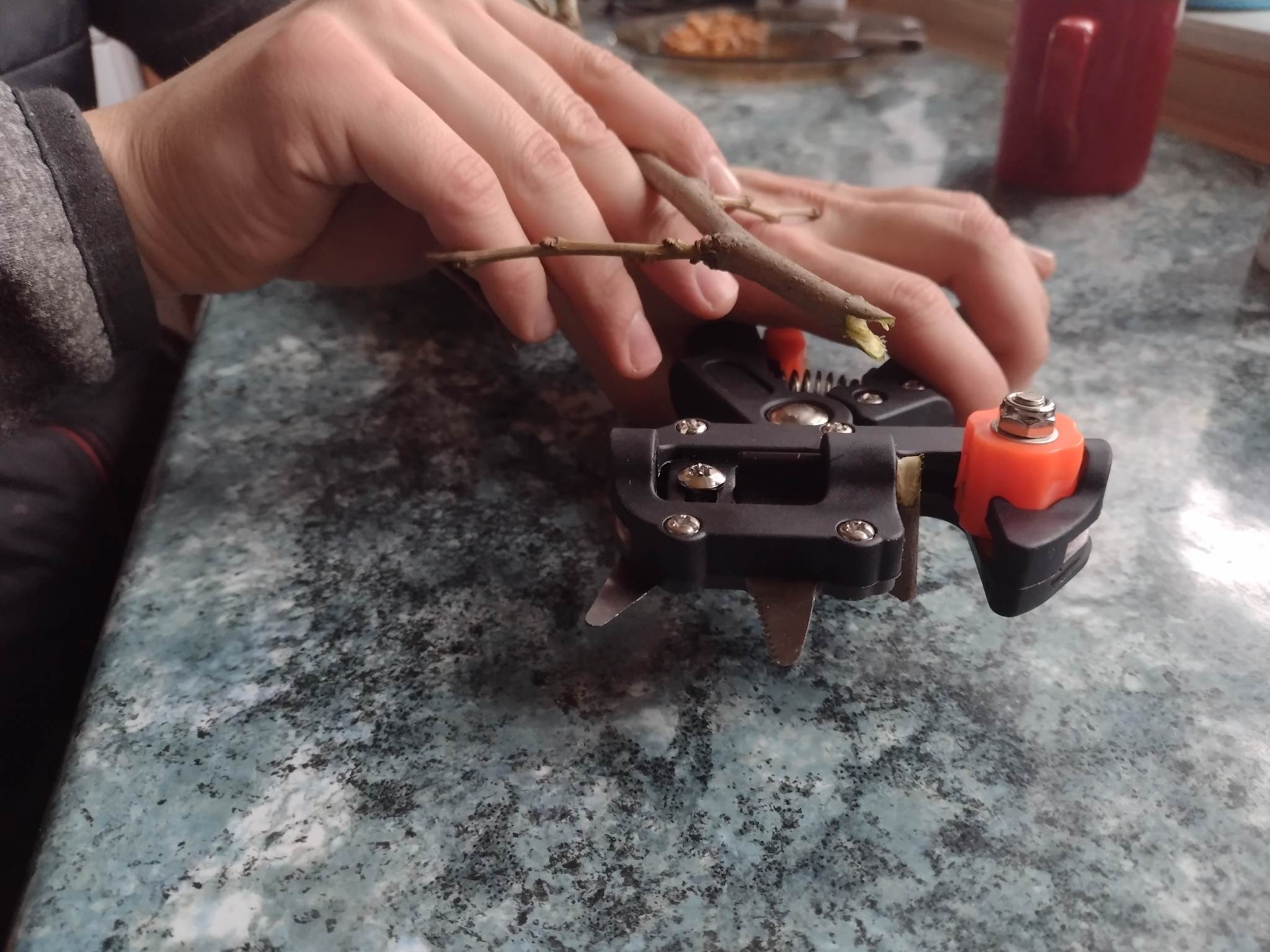 Sekator Do Szczepieñ Drzew i Krzewów z Tam¹ - obrazek 9