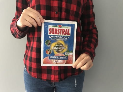 Syllit 65 WP Zwalcza Choroby Drzew Owocowych 45 g Substral - obrazek 2