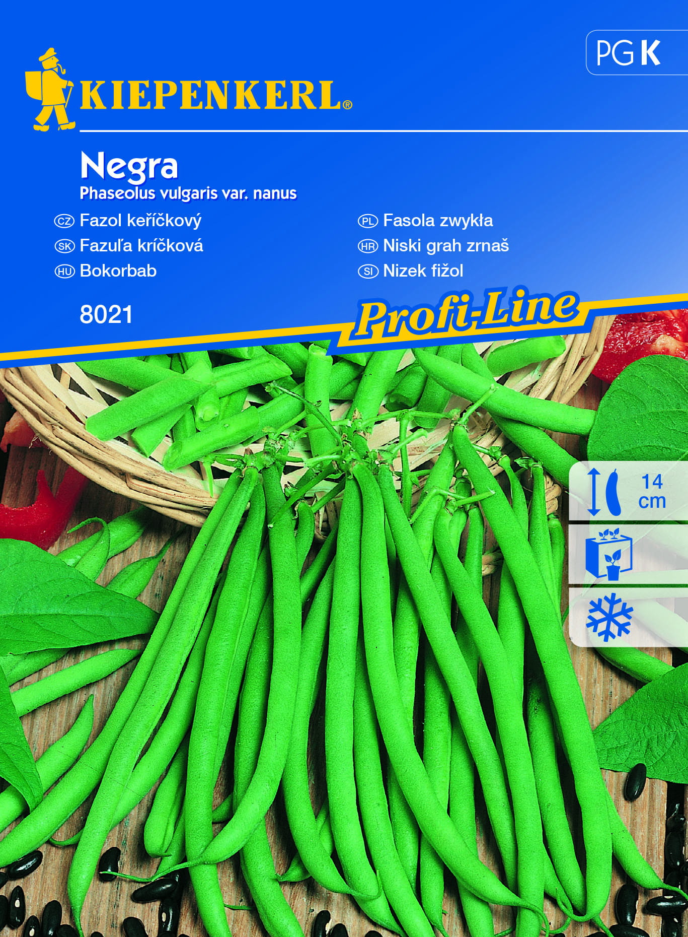 Fasola 'Negra' Odporna Na Choroby Kiepenkerl - obrazek 5