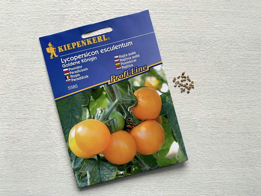 Pomidor 'Goldene Königin' Pomarañczowy Kiepenkerl - obrazek 2