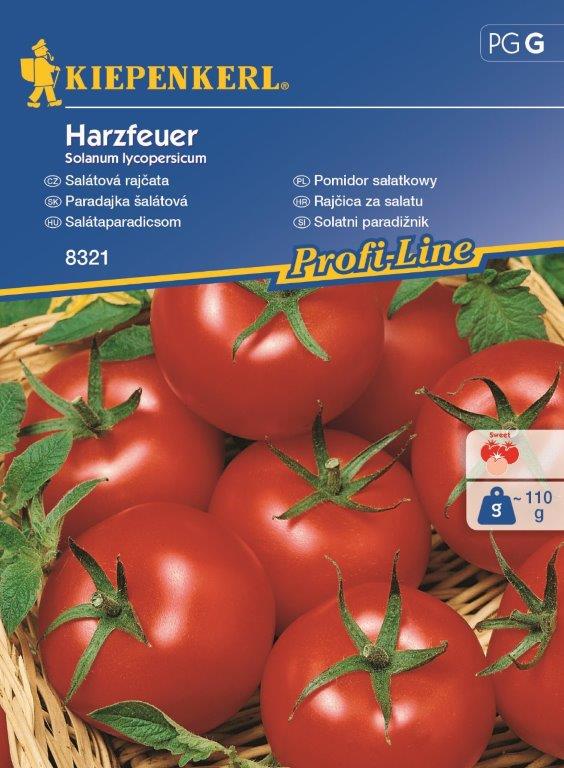 Pomidor 'Harzfeuer' F1 Wczesny Kiepenkerl - obrazek 4