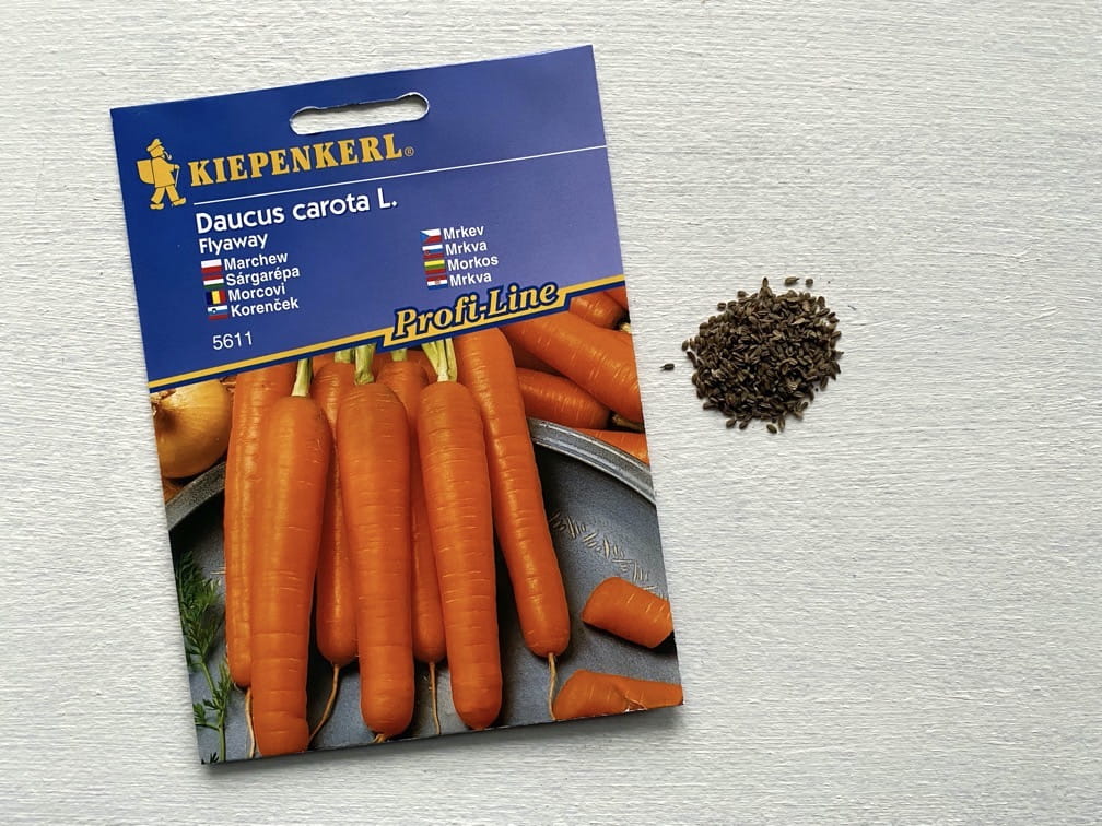 Marchew 'Flyaway' F1 Odporna Kiepenkerl - obrazek 2