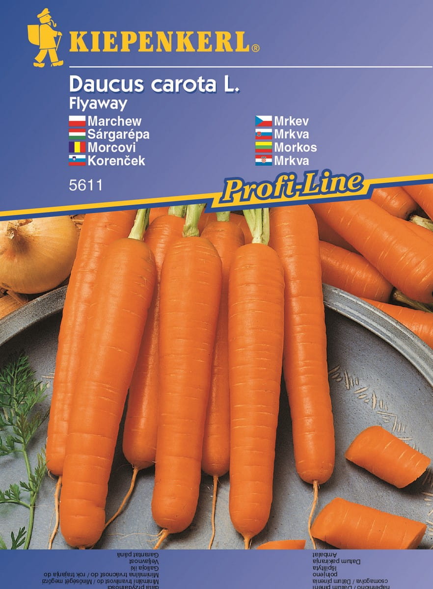 Marchew 'Flyaway' F1 Odporna Kiepenkerl - obrazek 4