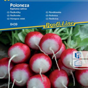 Rzodkiewka Poloneza - Kiepenkerl