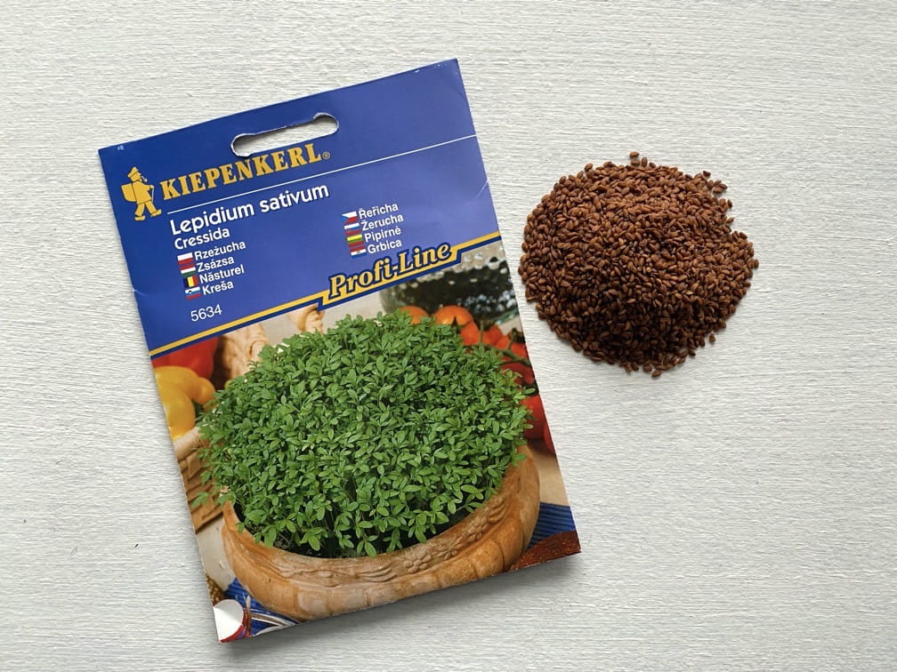 Rze¿ucha Cressida - Kiepenkerl - obrazek 2