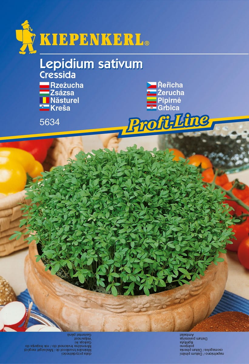 Rze¿ucha Cressida - Kiepenkerl - obrazek 4