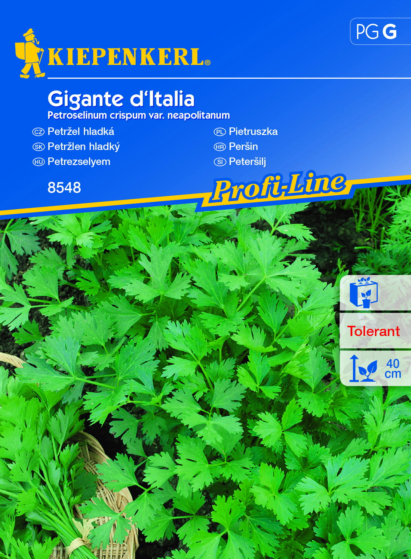 Pietruszka naciowa 'Gigante d'Italia' Kiepenkerl - obrazek 5