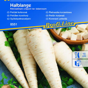 Pietruszka Korzenna Halblange - Kiepenkerl