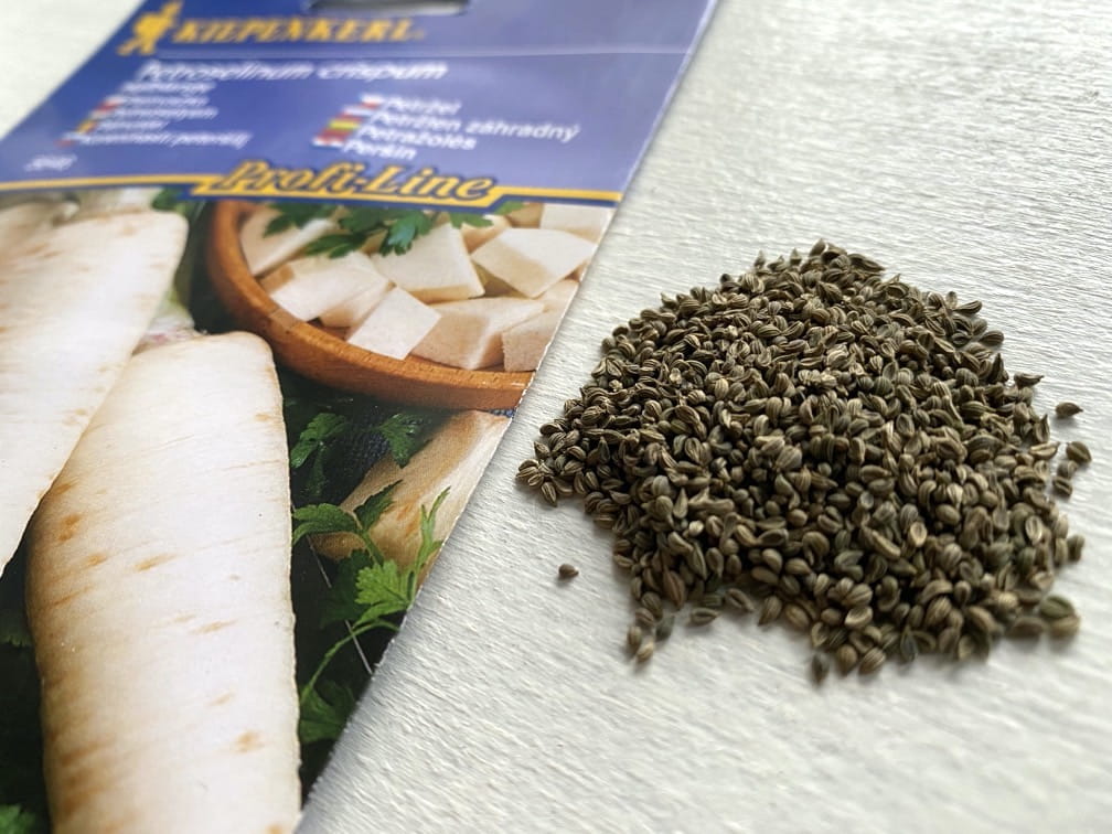 Pietruszka Korzenna Halblange - Kiepenkerl - obrazek 2