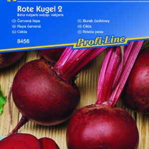 Burak æwik³owy 'Rote Kugel 2'  Okr¹g³y  Kiepenkerl