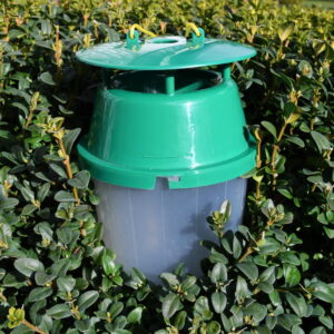 Pu³apka feromonowa na æmê bukszpanow¹