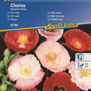 Mak polny  Mix Kolorów  Kiepenkerl