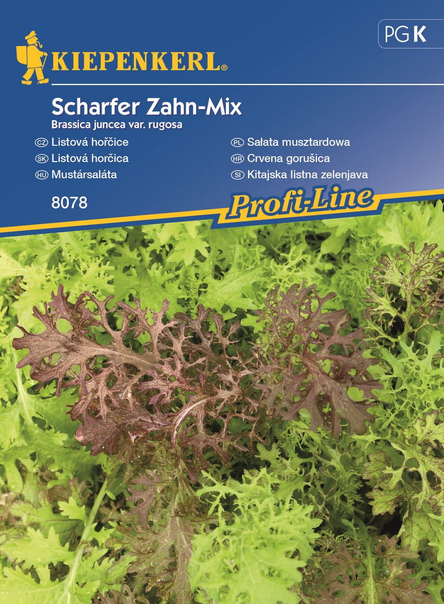 Sa³ata Musztardowa Mix Kiepenkerl