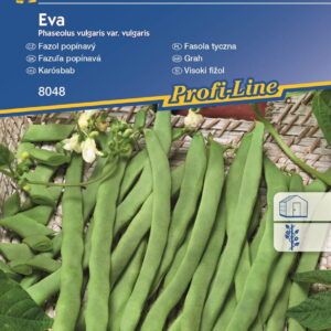 Fasola tyczna 'Eva' Szparagowa Kiepenkerl