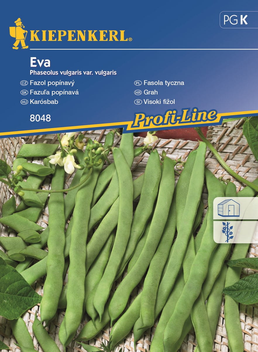 Fasola tyczna 'Eva' Szparagowa Kiepenkerl