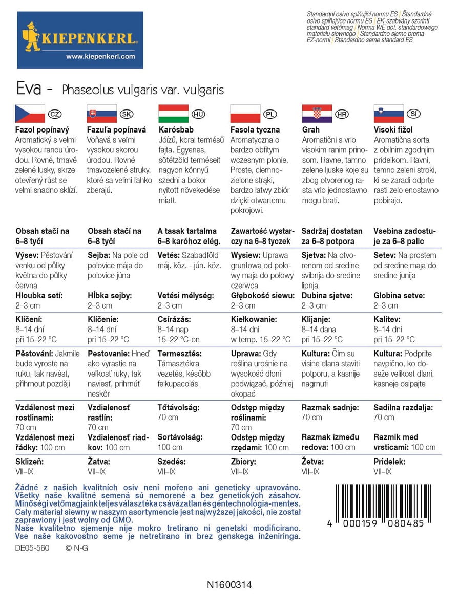 Fasola tyczna 'Eva' Szparagowa Kiepenkerl - obrazek 3