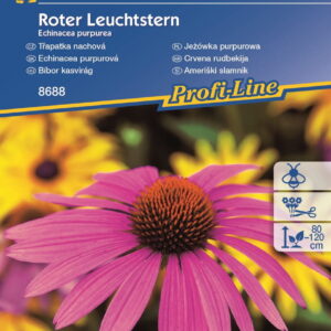 Je¿ówka 'Roter Leuchtstern' Purpurowa Kiepenkerl