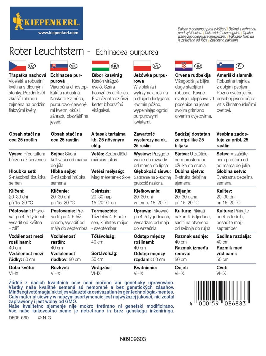 Je¿ówka 'Roter Leuchtstern' Purpurowa Kiepenkerl - obrazek 2