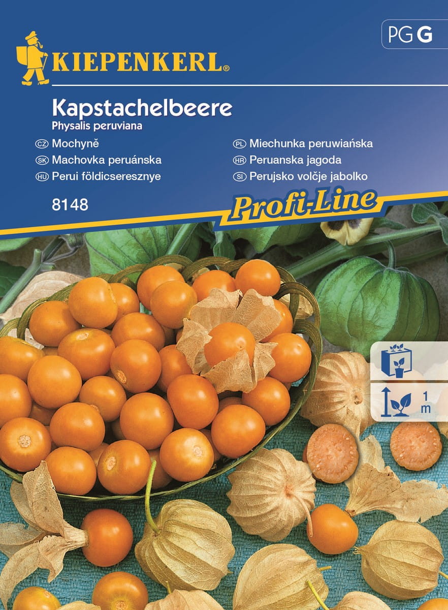 Miechunka peruwiañska Rodzynek brazylijski Kiepenkerl