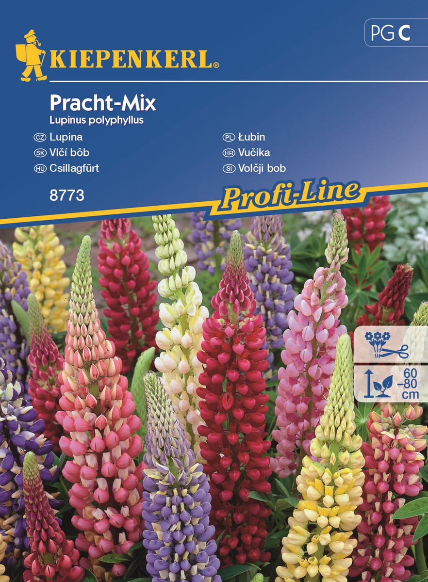 £ubin trwa³y Mieszanka Nasion Kiepenkerl