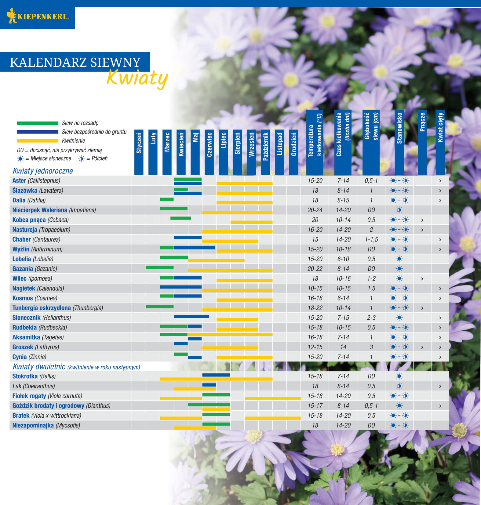 £ubin trwa³y Mieszanka Nasion Kiepenkerl - obrazek 3
