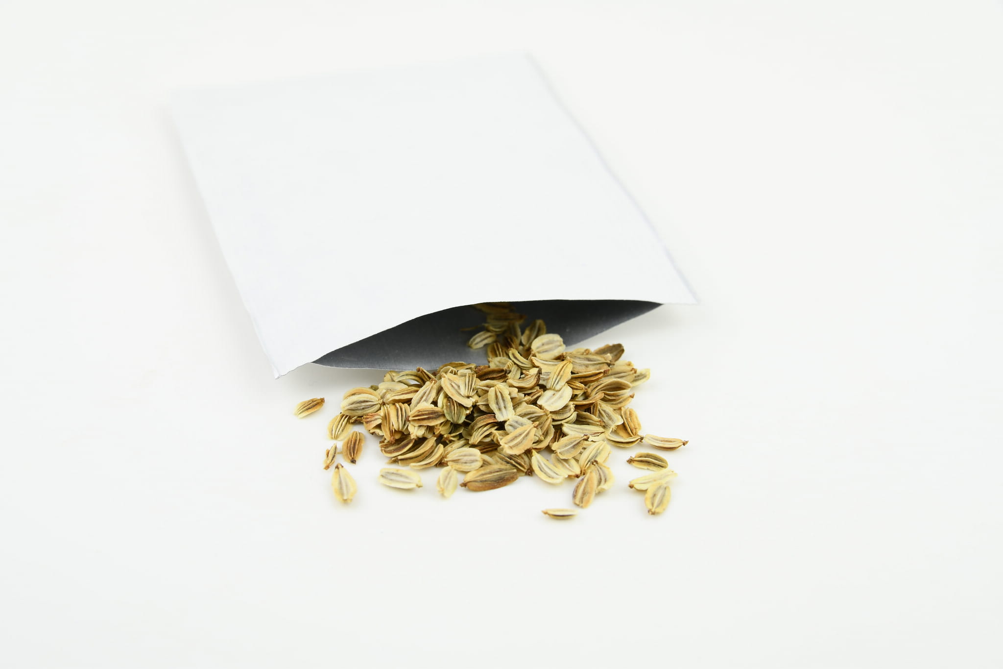 Lubczyk Ogrodowy Kiepenkerl - obrazek 2