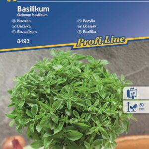 Bazylia Drobnolistna Aromatyczna Kiepenkerl