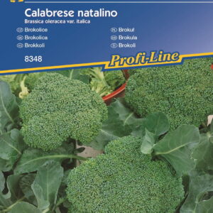 Broku³ 'Calabrese natalino' Tradycyjny Kiepenkerl