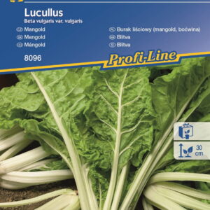 Burak liciowy 'Lucullus'  Boæwina  Kiepenkerl