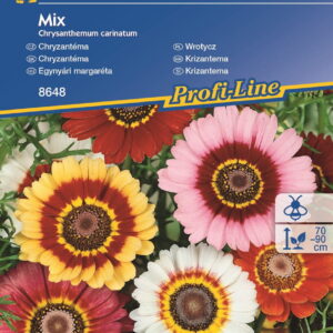 Z³ocieñ Chryzantema Mieszanka Kiepenkerl