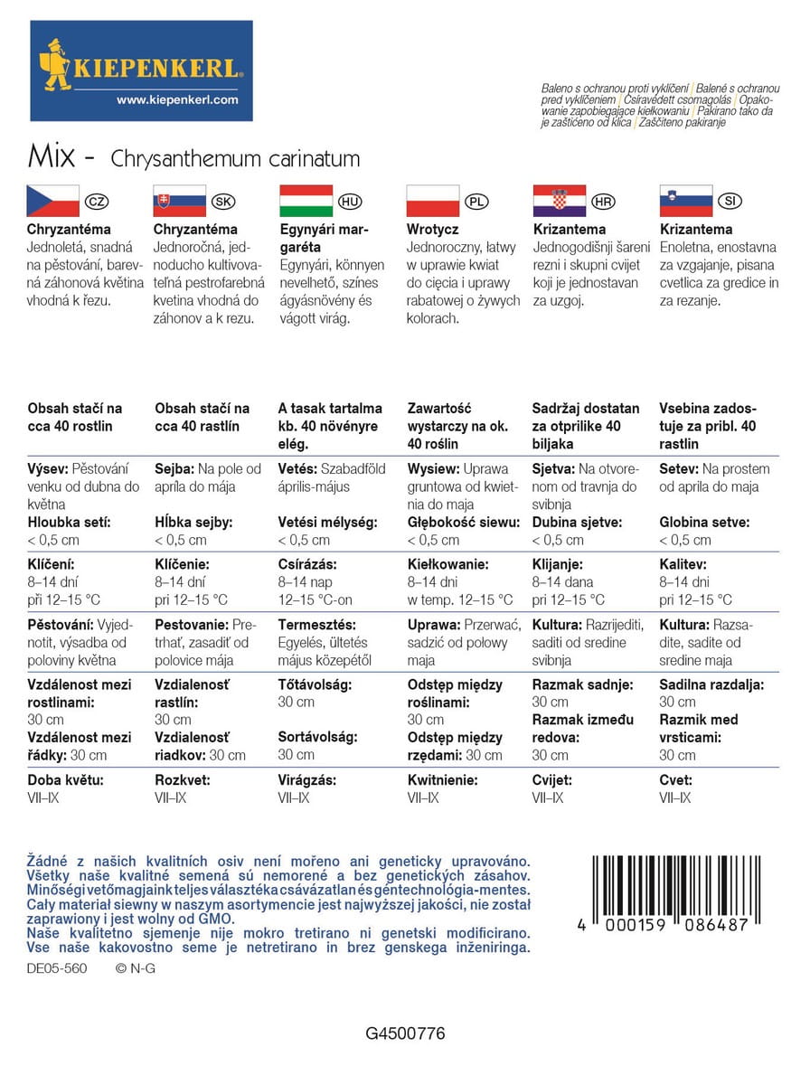 Z³ocieñ Chryzantema Mieszanka Kiepenkerl - obrazek 2