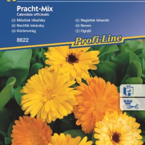 Nagietek lekarski Mix Nasion Kiepenkerl