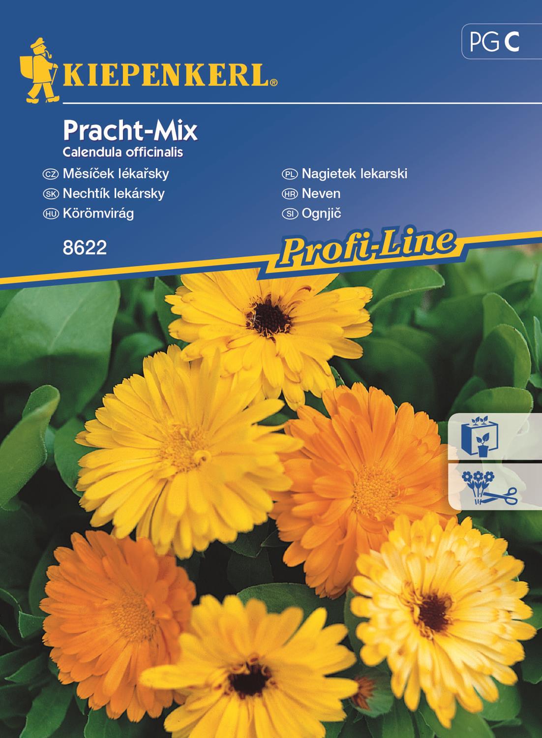 Nagietek lekarski Mix Nasion Kiepenkerl