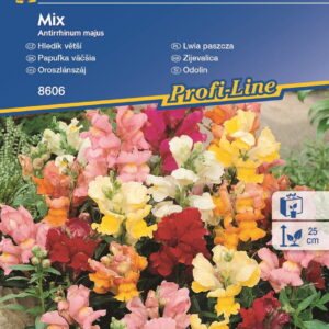 Lwia paszcza Niska Mix Kiepenkerl