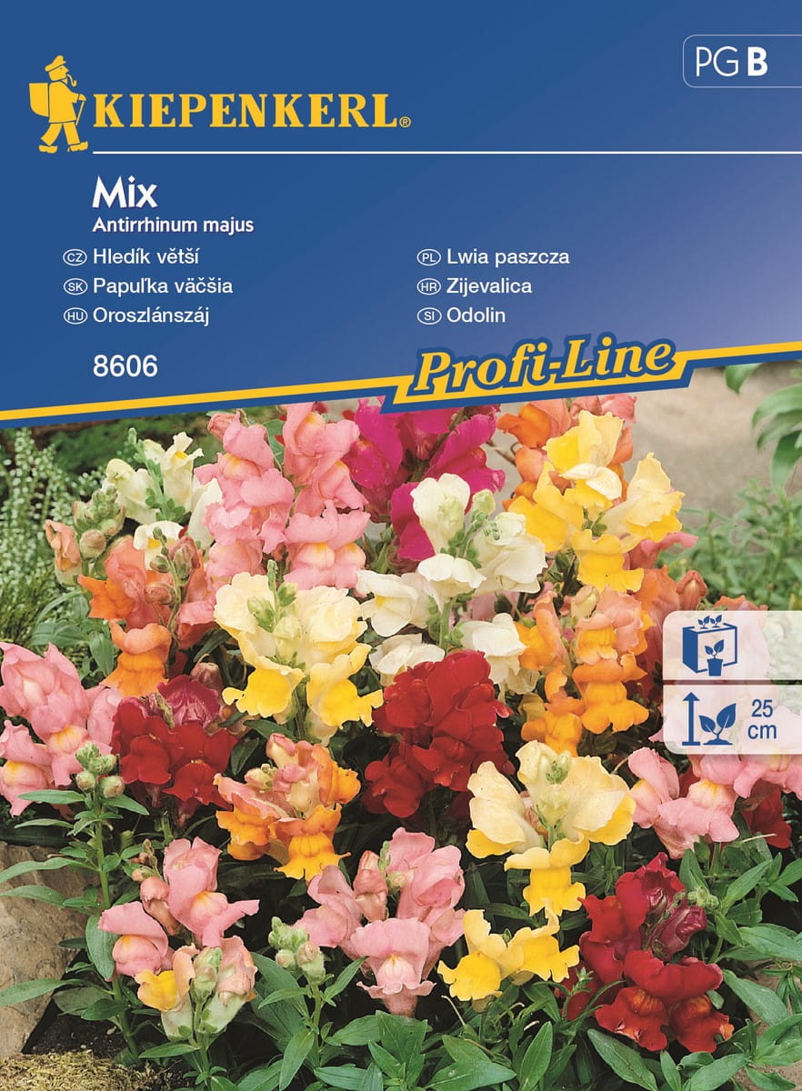 Lwia paszcza Niska Mix Kiepenkerl