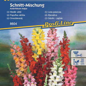 Lwia paszcza Wysoka Mix Kiepenkerl