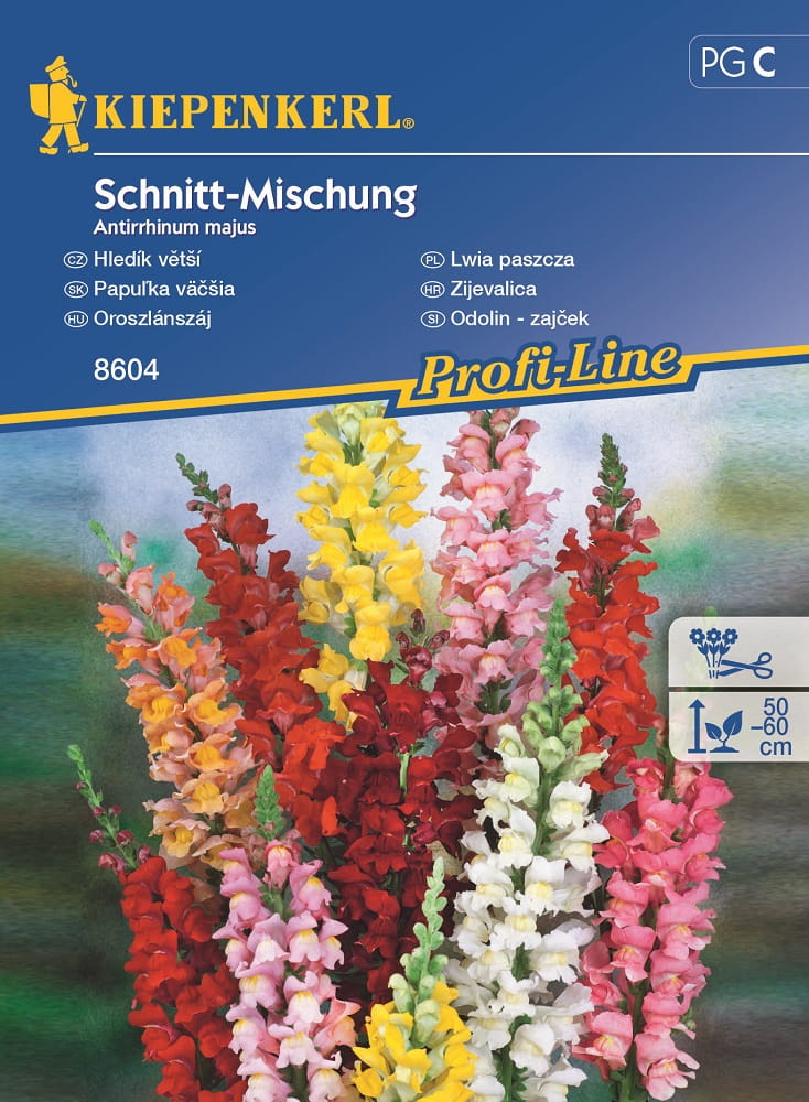 Lwia paszcza Wysoka Mix Kiepenkerl