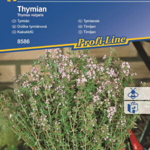 Tymianek Wieloletni Kiepenkerl