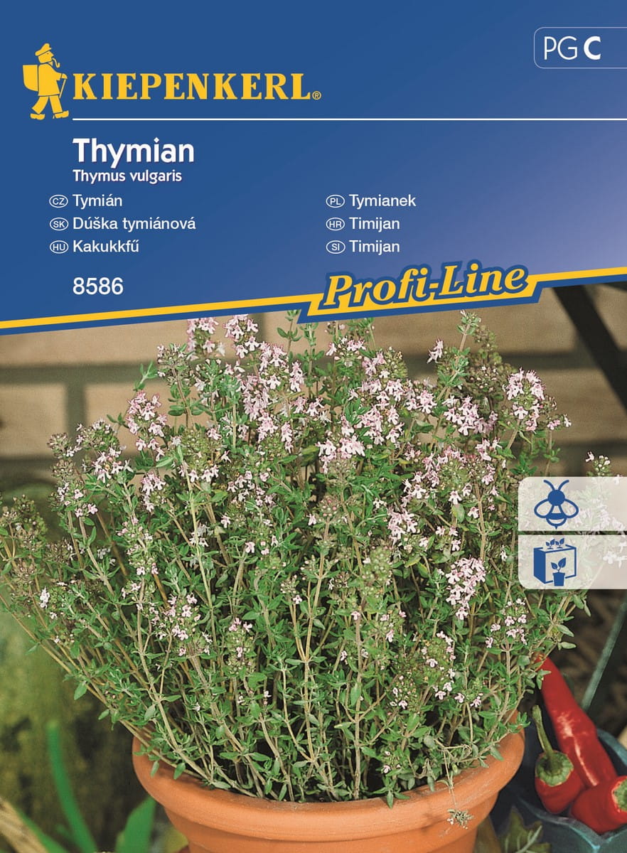 Tymianek Wieloletni Kiepenkerl