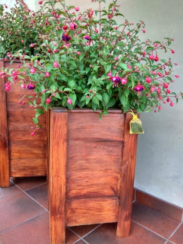 Kunagone Odstraszacz Kotów 2 szt. - obrazek 2