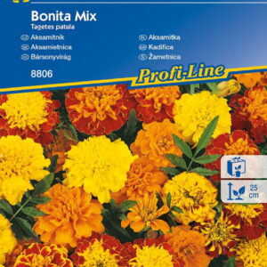Aksamitka 'Bonita' Mix Nasion Kiepenkerl