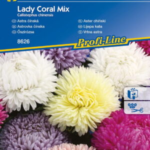 Aster Chiñski 'Lady Coral' Mix Nasion Kiepenkerl
