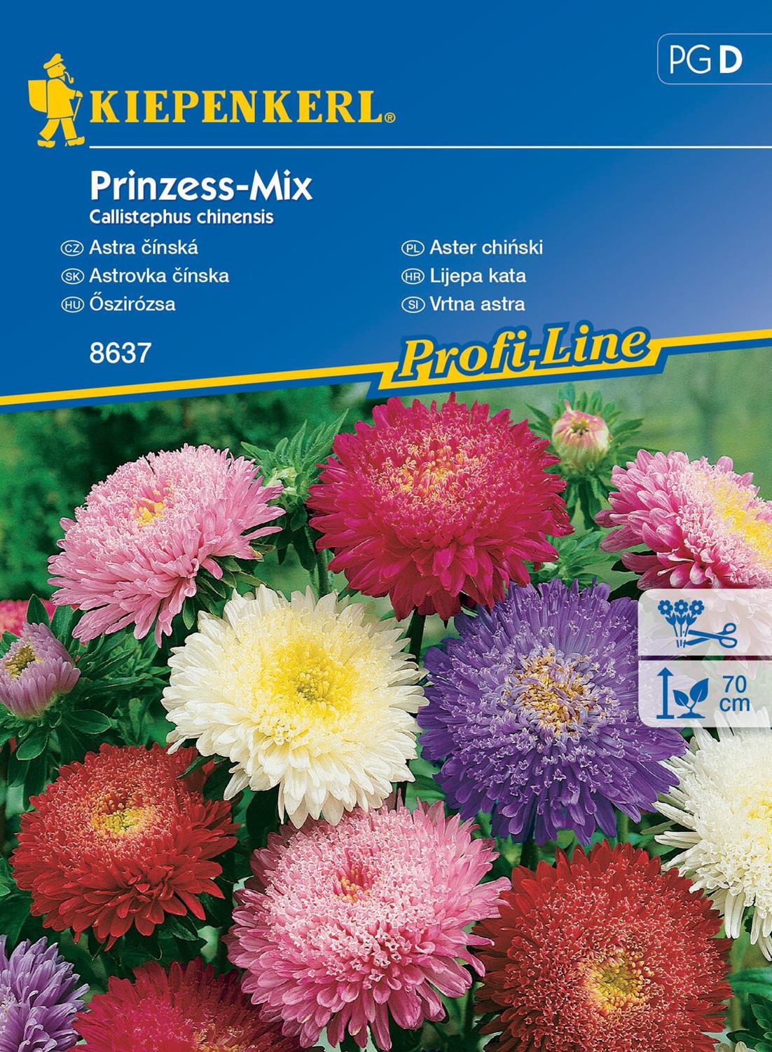 Aster Chiñski 'Prinzess' Mix Nasion Kiepenkerl