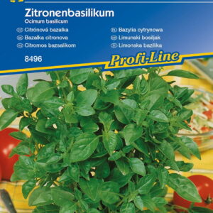 Bazylia Cytrynowa Kiepenkerl