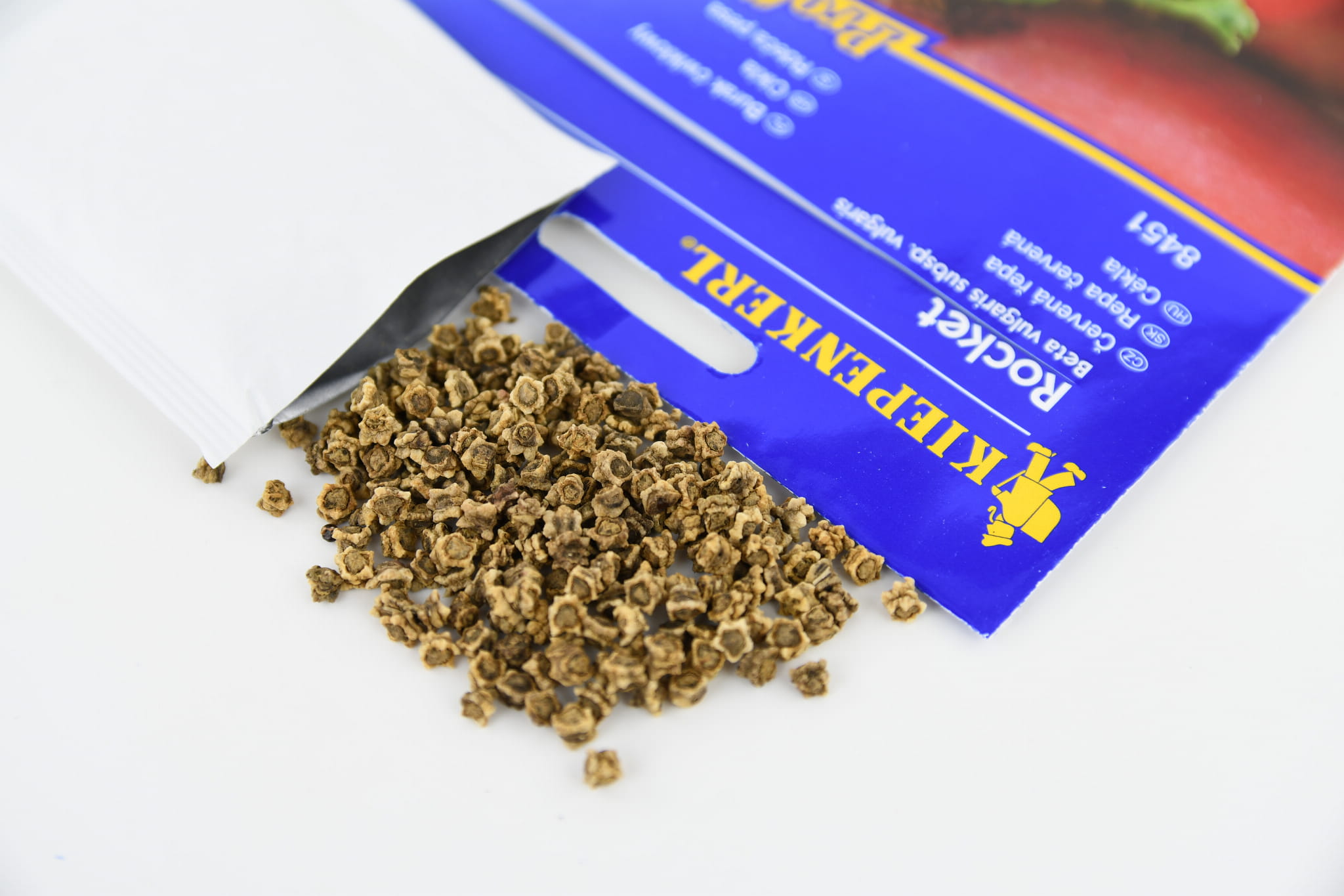 Burak Æwik³owy 'Rocket' Kiepenkerl - obrazek 2