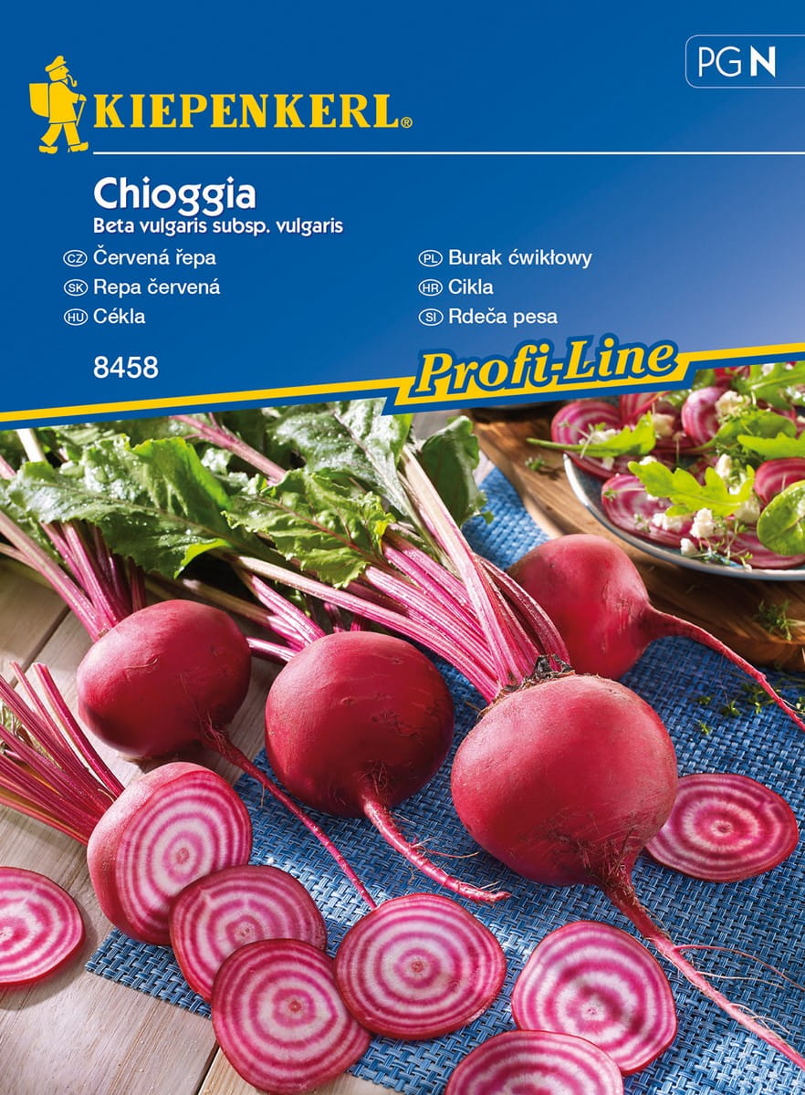 Burak Æwik³owy 'Chioggia' Odporny Kiepenkerl